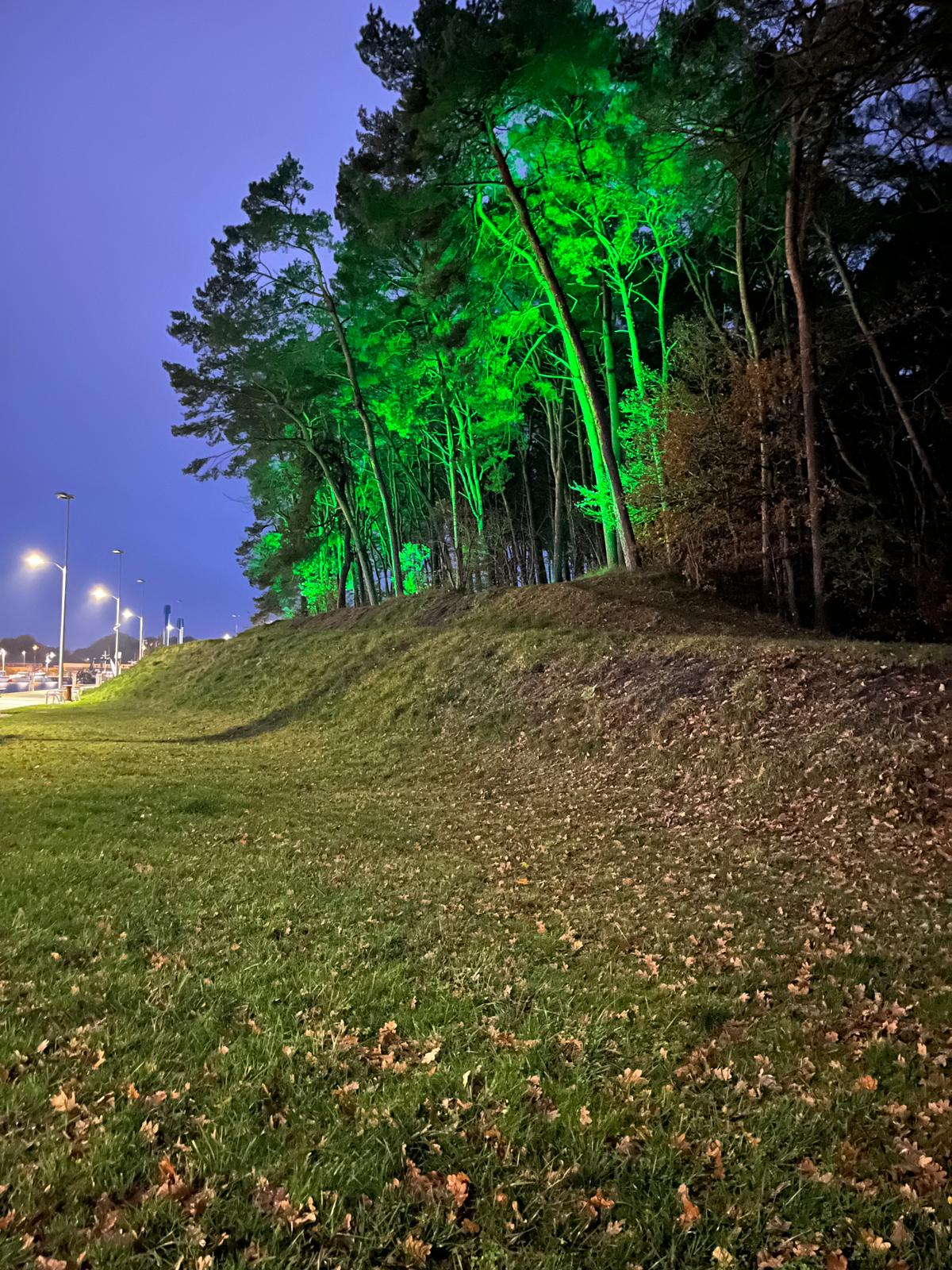 Mrzeżyno – Promenada Nadmorska -Iluminacja RGBW DALI-2 DT8 Zencontrol