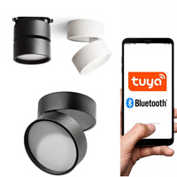 OPRAWA SUFITOWA TUBA DOWNLIGHT URBAN SMART SCIEMNIALNA ULDL186 BIALY