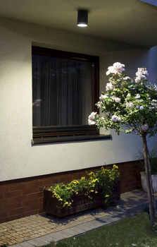 Adela 7004 DG lampa sufitowa