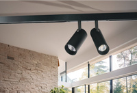 ALFA NIKO 2 TRACK MAGNETIC 2LINE 2X7W CCT SWITCH DIM BK Azzardo AZ6252