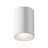Lampa sufitowa C029CL-01W Maytoni