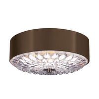 Mały plafon Botanic    Ciemny postarzany mosiądz FE-BOTANIC-F-S Elstead Lighting